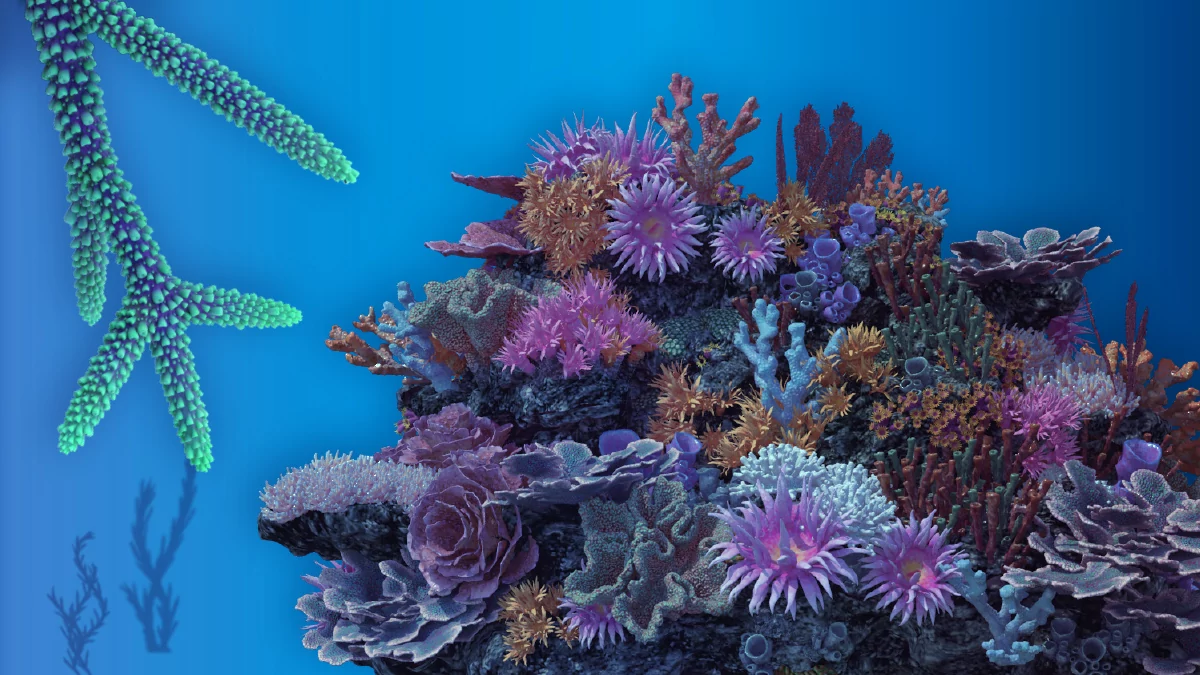 Cambio climático, “asesino” de algas y corales