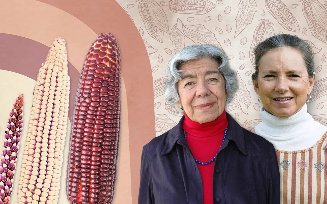 Científicas detrás de la conservación y mejora del maíz